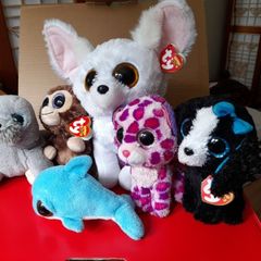 Cuddly toys - 5 Beanie Boo ty toys + dolphin