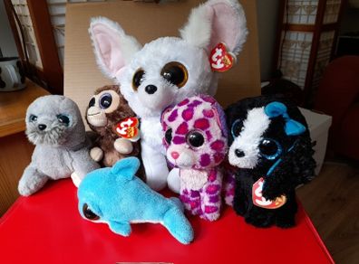 Cuddly toys - 5 Beanie Boo ty toys + dolphin