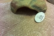 reptile cave