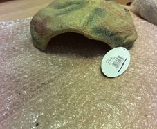 reptile cave