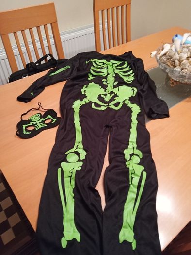 Fancy Dress Costume