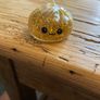 Rare Golden Glitter Dumpling! Image 2