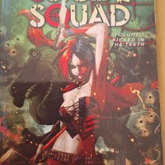 Suicide Squad Volume 1, Kicked in the teeth