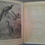Creatures of Other Days 1896 hardback first edition by Rev H N Hutchinson in good condition FREE POSTAGE INCLUDED Image 5