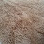 Soft Shaggy Beige Rug Image 4