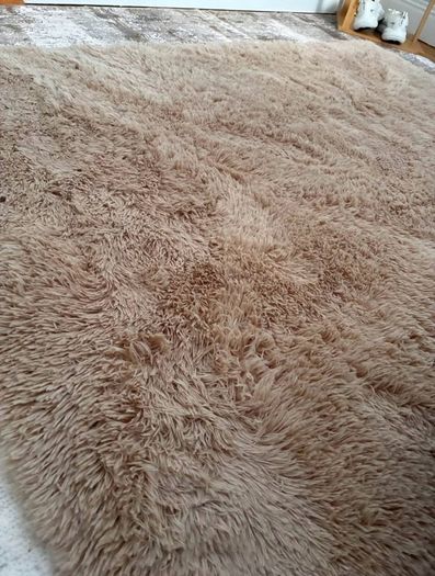 Soft Shaggy Beige Rug