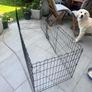 Dog Enclosure Image 2