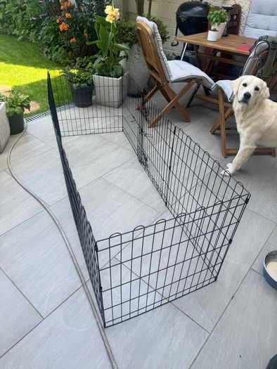 Dog Enclosure