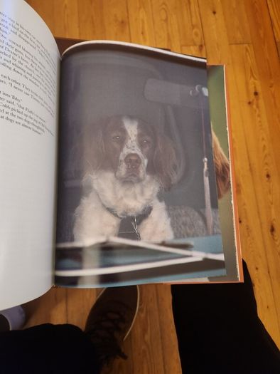 Just Dogs. A Literary & Photographic Tribute To The Great Hunting Breeds. First Edition Large Volume Hardback With Dustjacket In Very Good Condition. 36.