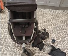 Quinny Buzz Buggy