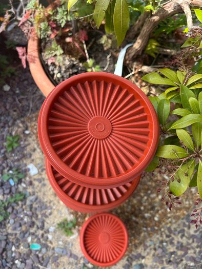 70s Tubberware Harvest Sunburst Orange nesting containers