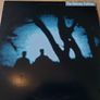 Batch Of Vinyl Records For Sale (3/15) - All Cleaned And In Excellent Condition + hundreds more Image 3