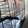 Black Bird/Parrot Cage Image 6