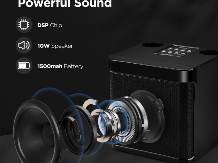 Portable Karaoke with 2 Microphone