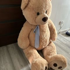 Big Teddy Bear