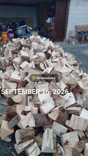 Longford solid fuel 2026