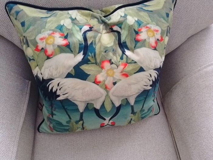 2 scatterbox cushions