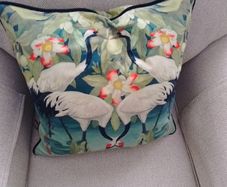 2 scatterbox cushions