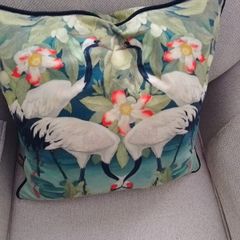 2 scatterbox cushions