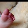 Medical grade sheepskin rugs for baby, gift for newborn, for elderly for wheelchair, chair to prevent sores Image 4