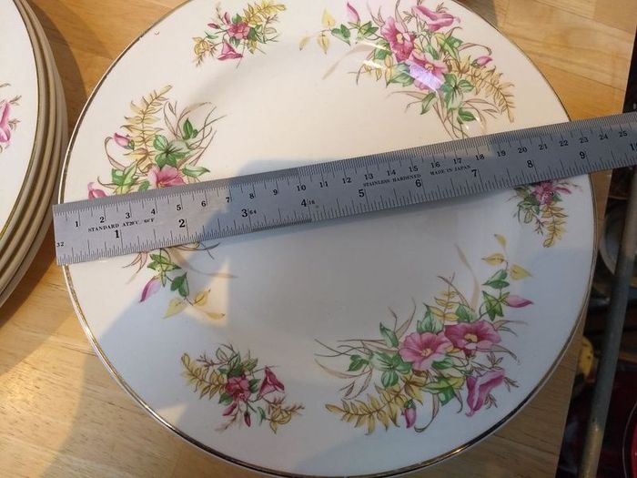 Beautiful 1950s Almost Complete Dinner Service by Arklow Pottery in Pattern Number 2508