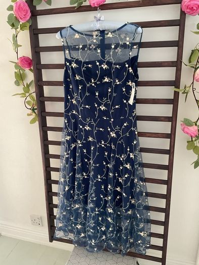 dress Bnwt Paisie occasion wear dress size 10