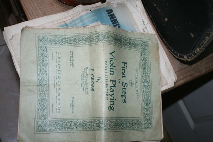 Antique Violin  1930
