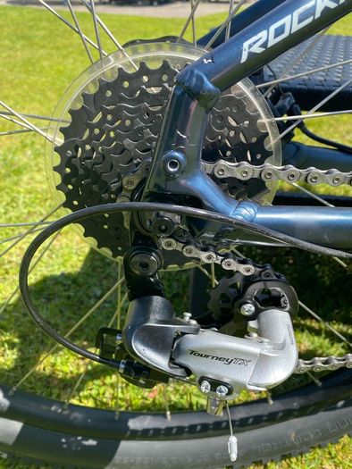 specialized