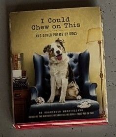 Non-fiction and lifestyle books bundle, 16 books (Brief History of Time, Why We Sleep and more)