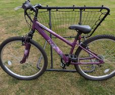 Apollo Jewel - Girls Mountain Bike