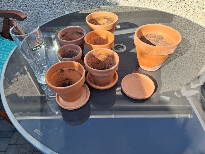 terracotta pots