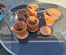 terracotta pots