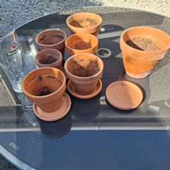 terracotta pots