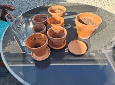 terracotta pots