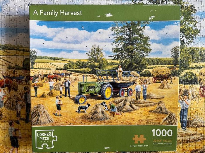 1000 puzzle/jigsaw