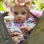 Reborns By Laura.  I Have Elf Fairy's In My Garden!!  Fairy  Elf's  Available For Adoption .  Reborn Doll.  Welcome To View Image 3