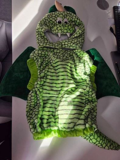 preschooler dragon costume