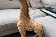 Large giraffe