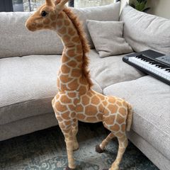 Large giraffe