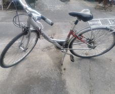 ladies bike