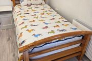 Single Bed and Mattress