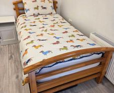 Single Bed and Mattress