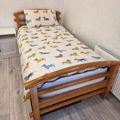 Single Bed and Mattress