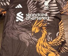 New Liverpool Jersey