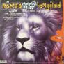 Basement Jaxx - Romeo. Three track 33rpm 12" single. Super condition - plays like new. Image 2