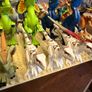 lego Dinosaurs lot Image 10