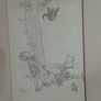 Framed EH Shepard Classic Winnie the Pooh Pencil Sketch Prints (64 x 30cm) Image 4