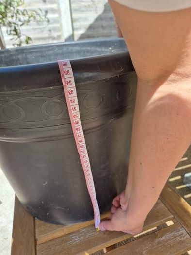 garden pot