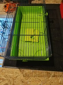 Rabbit Cage/Guinea Pig Cage