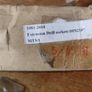 Set of redusing sleeves of four pieces , Extension drill sockets GSR DIN 2187 Image 8